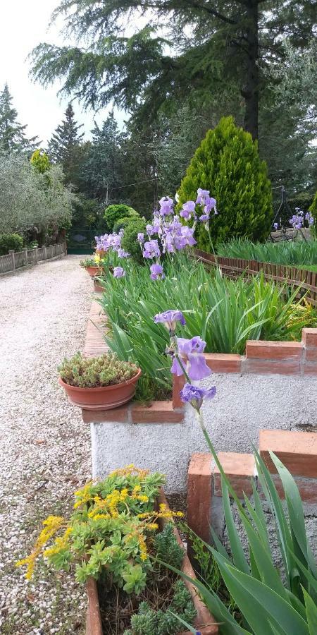 I Pini House Villa Magione Exterior foto